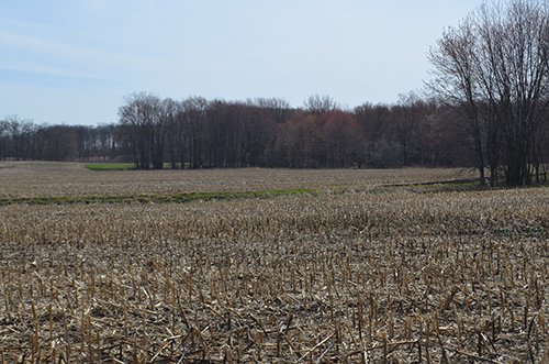 Property photo 171 - REAL ESTATE & PERSONAL PROPERTY AUCTION, 140 Acres offered in 8 Tracts or Combinations in Steuben County